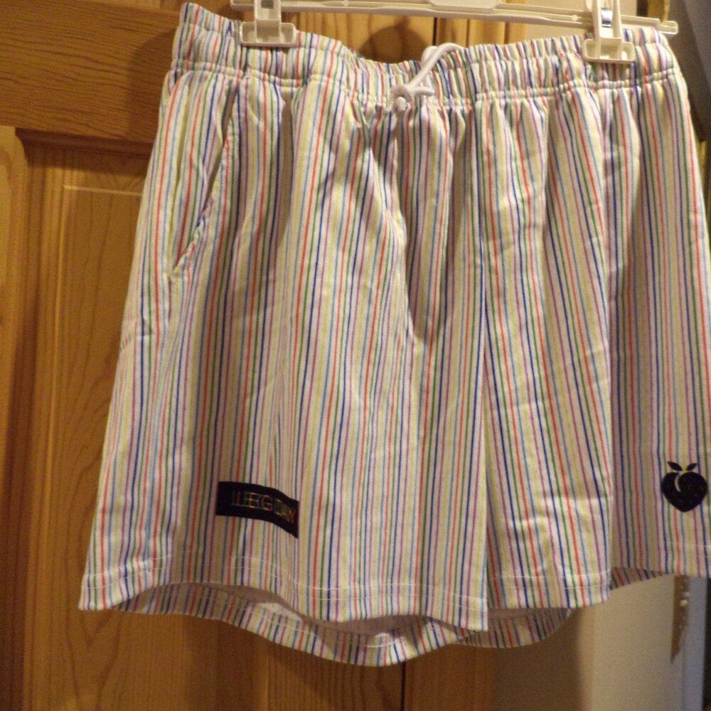 Men's FLEXLIVING Basic Mesh Shorts LEG Day White + Colors Stripe  Size: XL